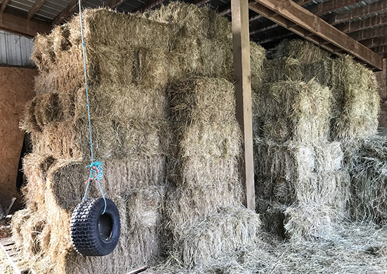 Hay01
