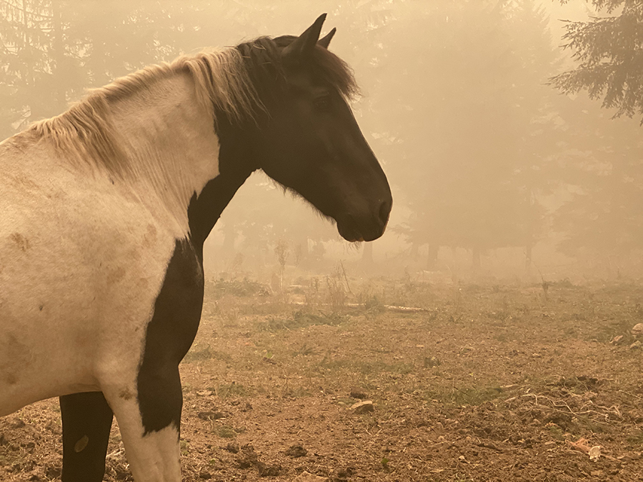 Oregon Fires 2020