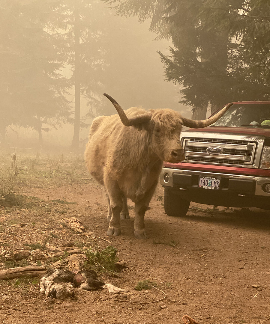 Oregon Fires 2020